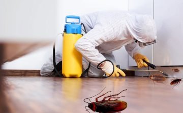 Pest-Control-services-Uganda-1